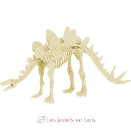 Paläontologie-Kit - Stegosaurus UL2823 Ulysse 2