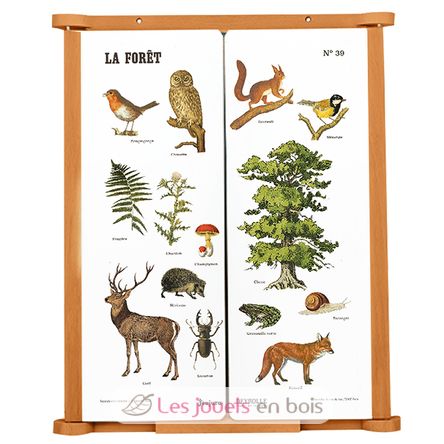 Tafel für Kinder aus Holz Der Wald JJ4671 Jeujura 1