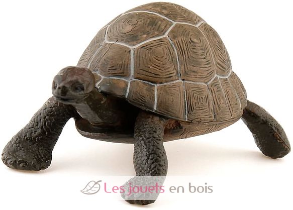 Schildkrötenfigur PA50013-2906 Papo 3