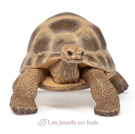 Hermanns Schildkrötenfigur PA-50264 Papo 3