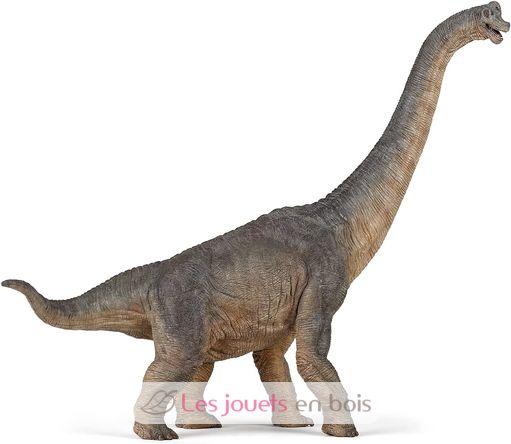 Brachiosaurus-Figur PA55030-3130 Papo 1