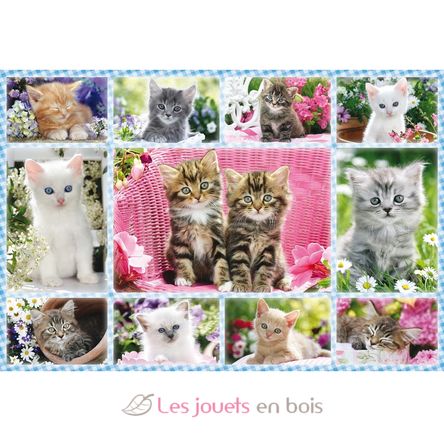 Puzzle Katzenbabys 100 Teile S-56135 Schmidt Spiele 3