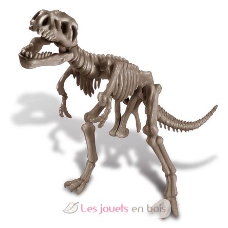 Grabe ein Dino-Skelett T-Rex 4M-5663221 4M 4