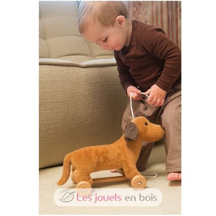 Nachzieh-Hund Edward EG591038 Egmont Toys 2