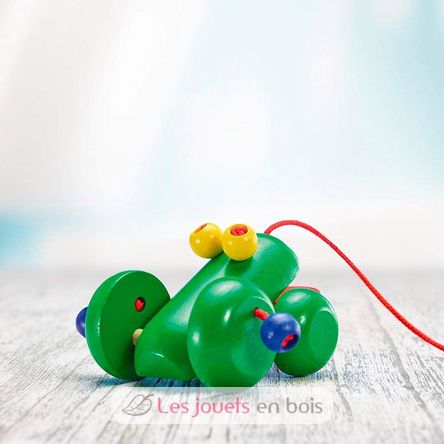 Ranolo Frosch SE1639-4231 Selecta 4