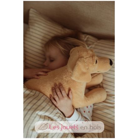 Gewichtetes Hundeplüschtier 2,2 kg As-84680 ByAstrup 4