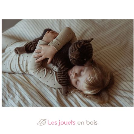 Gewichtetes Katzenplüschtier 1,2 kg As-84684 ByAstrup 4