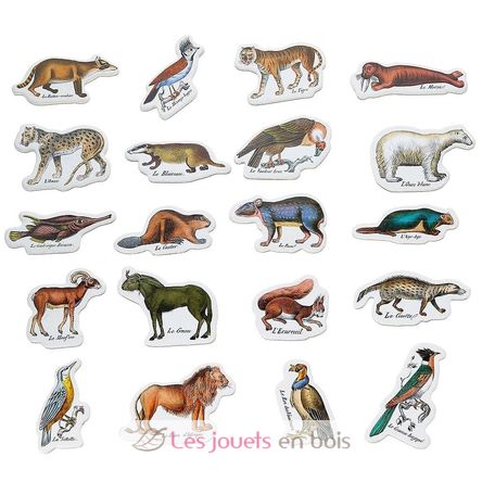 Zoologische Magnete Buffon V9622 Vilac 3