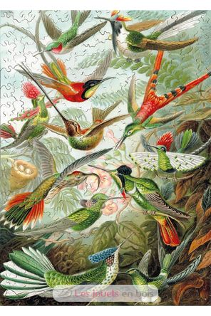 Die HAECKEL Kolibris WA539-500 Puzzle Michele Wilson 3