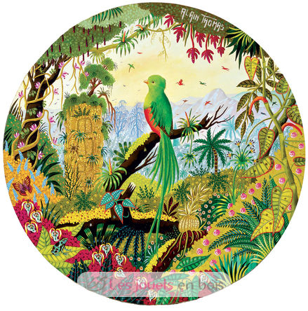 Quetzal von Alain Thomas A874-250 Puzzle Michele Wilson 2