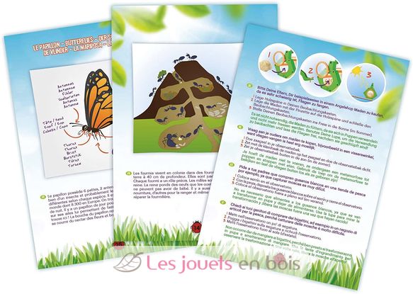 Forscher-Set Insekten BUK-BL033 Buki France 3