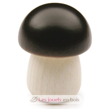 Steinpilz ER12260 Erzi 1