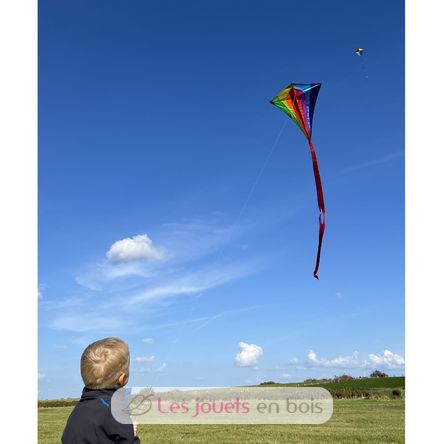 Classic-Drachen GU-1119 Günther 4