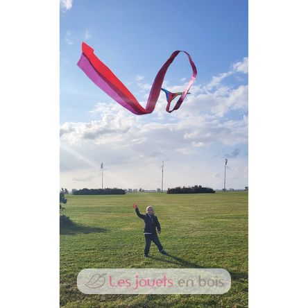 Classic-Drachen GU-1119 Günther 5