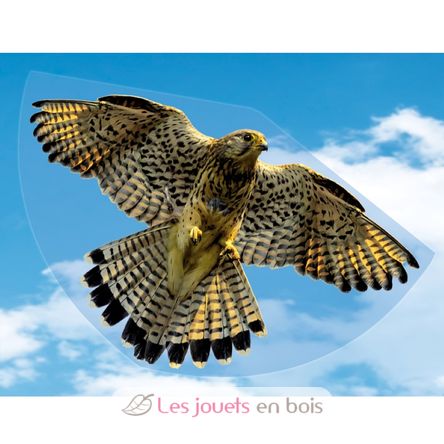 Falke-Drachen GU1230 Günther 3