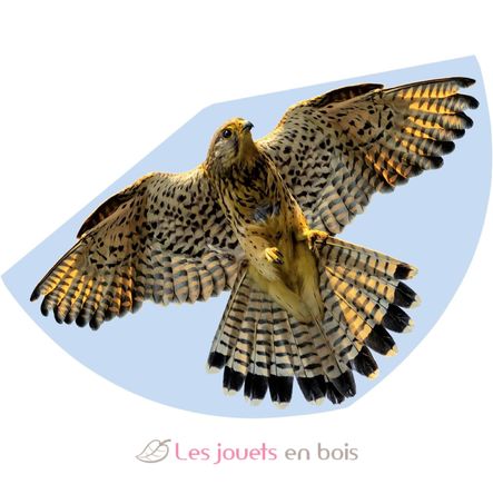 Falke-Drachen GU1230 Günther 1