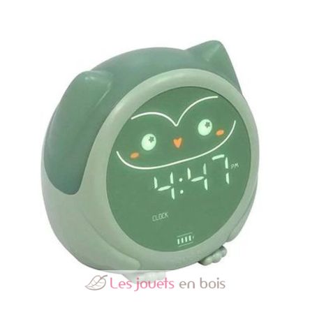Owlie Lernwecker Cloudb-1300-SO Cloud b 1