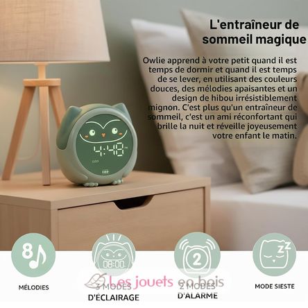 Owlie Lernwecker Cloudb-1300-SO Cloud b 2