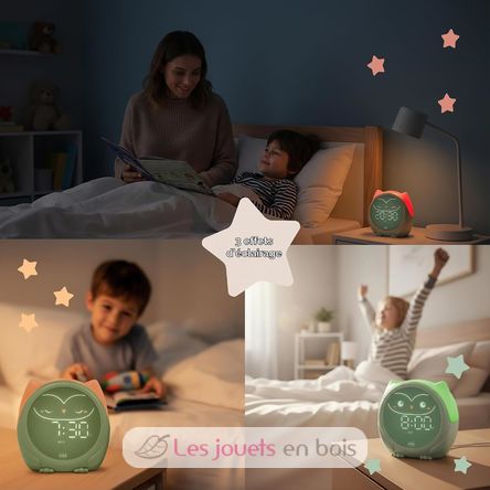 Owlie Lernwecker Cloudb-1300-SO Cloud b 4