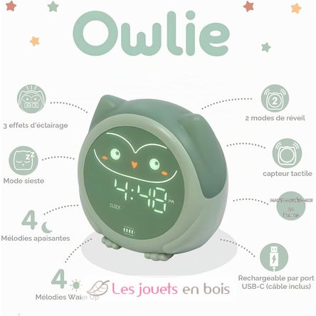 Owlie Lernwecker Cloudb-1300-SO Cloud b 3