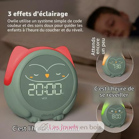 Owlie Lernwecker Cloudb-1300-SO Cloud b 5