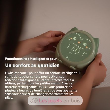 Owlie Lernwecker Cloudb-1300-SO Cloud b 8