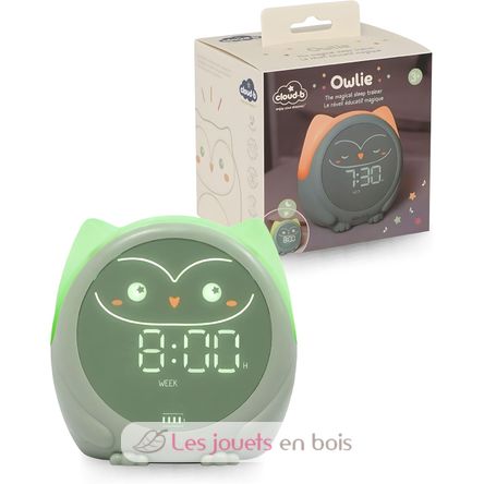 Owlie Lernwecker Cloudb-1300-SO Cloud b 1