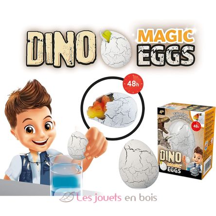 Magisches Ei BUK-D6G Buki France 3