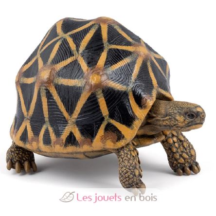 Strahlenschildkröten-Figur PA-50333 Papo 1