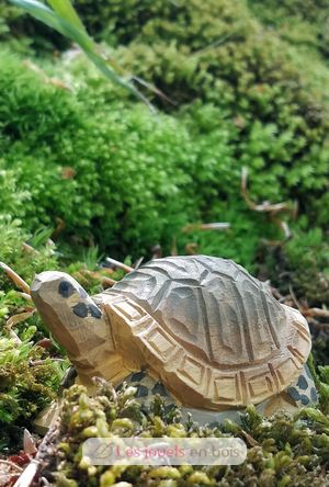 Figur Schildkröte aus Holz WU-40704 Wudimals 4