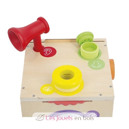 Sensorische Box J05307 Janod 6
