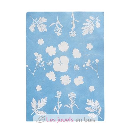 Solar-Fotopapier A5 ED-KG293 Esschert Design 1