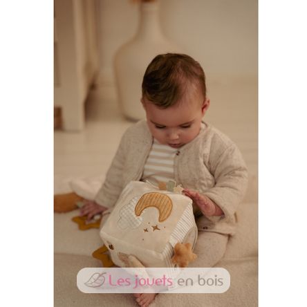 Weicher Aktivitätswürfel Newborn LD8409 Little Dutch 12
