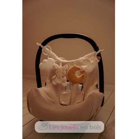 Kinderwagen-Spielzeug Newborn LD8411 Little Dutch 4