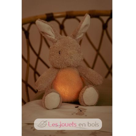 Kuschel-Hase Licht und Ton LD8441 Little Dutch 3