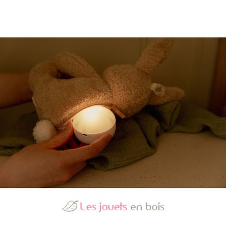 Kuschel-Hase Licht und Ton LD8441 Little Dutch 9