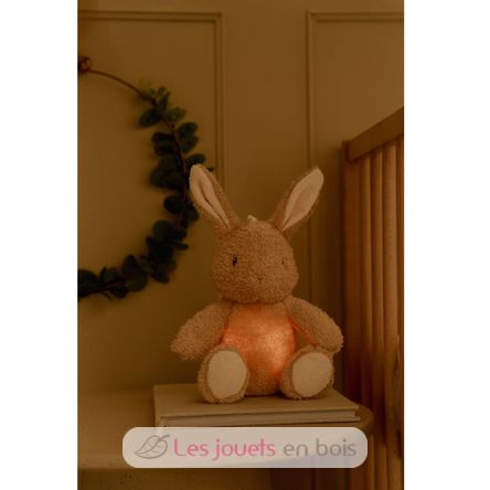 Kuschel-Hase Licht und Ton LD8441 Little Dutch 10
