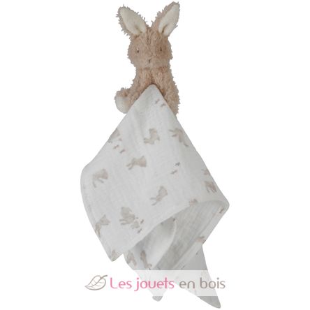 Geschenkbox Baby Bunny LD8859 Little Dutch 5