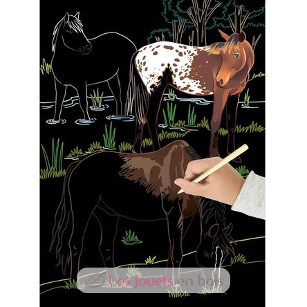 Scratch-Kunst Die Pferde PI-7822 Piccolia 2