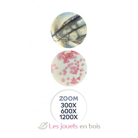 Mikroskop 40 Experimente BUK-MR800 Buki France 4