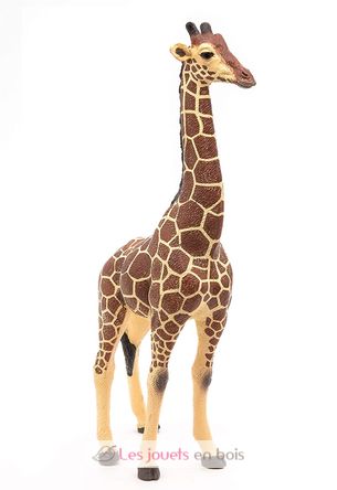 Männliche Giraffenfigur PA50149-3612 Papo 7