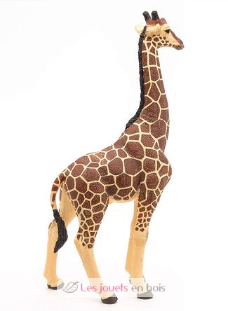 Männliche Giraffenfigur PA50149-3612 Papo 6