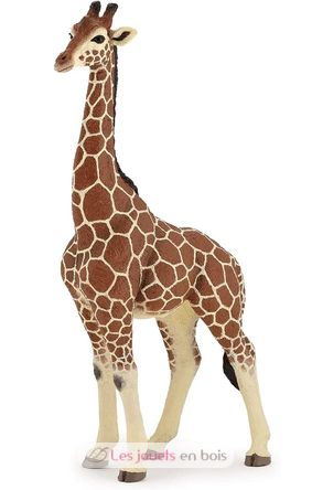 Männliche Giraffenfigur PA50149-3612 Papo 5