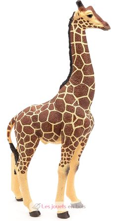 Männliche Giraffenfigur PA50149-3612 Papo 4