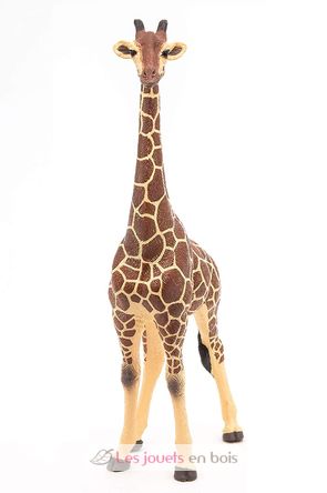 Männliche Giraffenfigur PA50149-3612 Papo 3