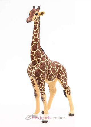 Männliche Giraffenfigur PA50149-3612 Papo 2