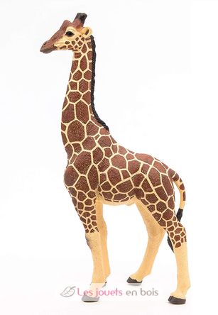 Männliche Giraffenfigur PA50149-3612 Papo 1