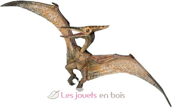 Pteranodon-Figur PA55006-2897 Papo 1