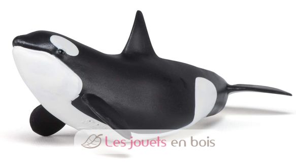 Baby-Orca-Figur PA56040 Papo 5