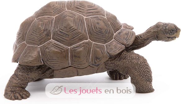 Galapagos-Schildkrötenfigur PA50161-3929 Papo 7